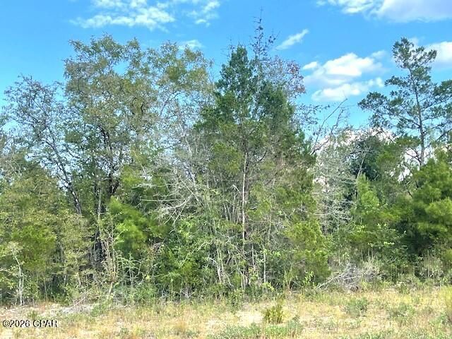 0 Fairway Drive, Marianna, FL 32446