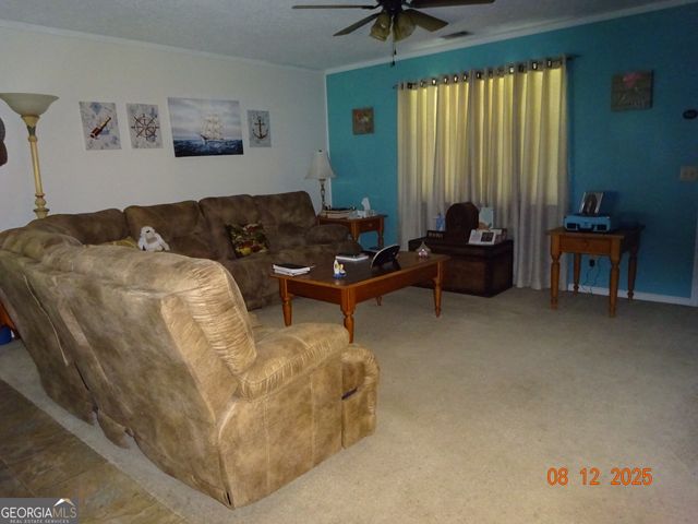 108 McCall Avenue, Reidsville, GA 30453