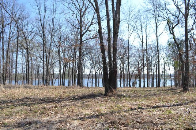 Lot 13 Angler Shores Drive, Yantis, TX 75497