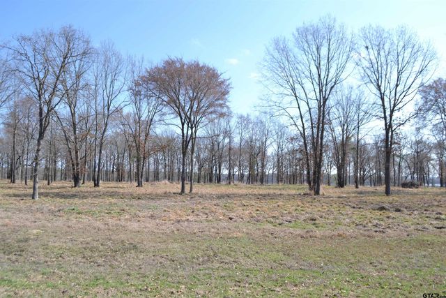 Lot 13 Angler Shores Drive, Yantis, TX 75497