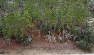 TBD SW 91ST LANE, Dunnellon, FL 34432