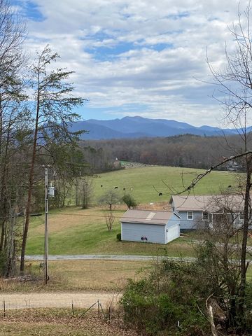 249 Shady Grove Lane, Hayesville, NC 28904