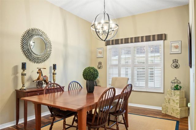 196 PALERMO PLACE, The Villages, FL 32159