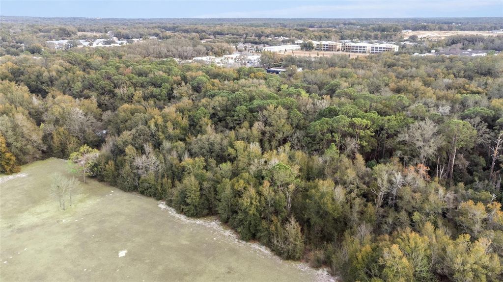 Image 39 of property listing at 196 PALERMO PLACE, The Villages, FL 32159