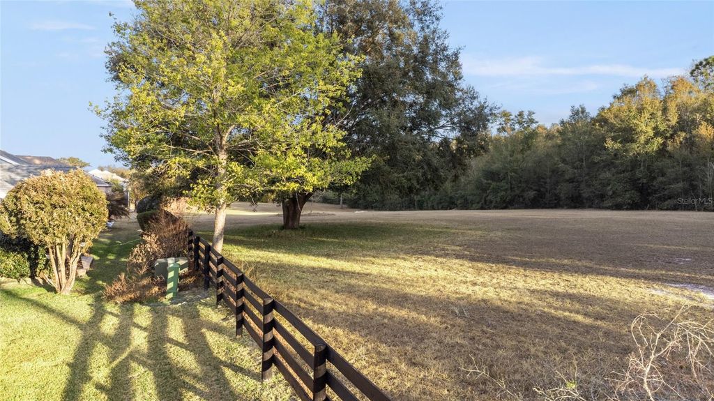 Image 43 of property listing at 196 PALERMO PLACE, The Villages, FL 32159