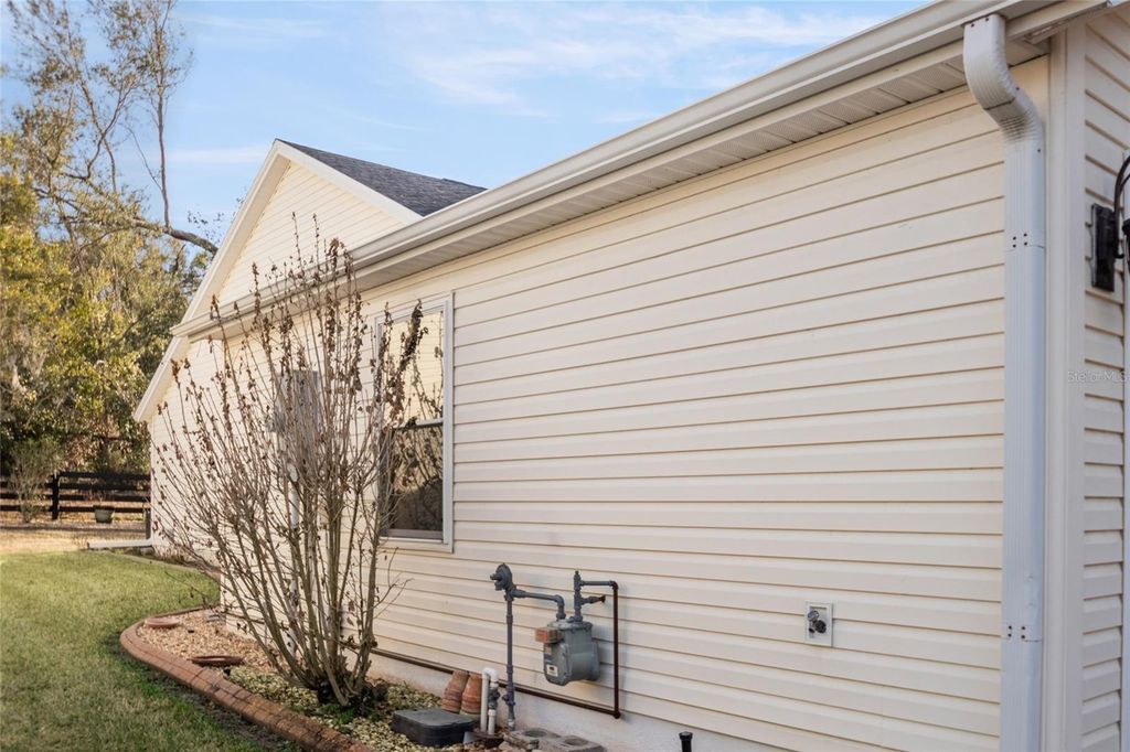 Image 46 of property listing at 196 PALERMO PLACE, The Villages, FL 32159