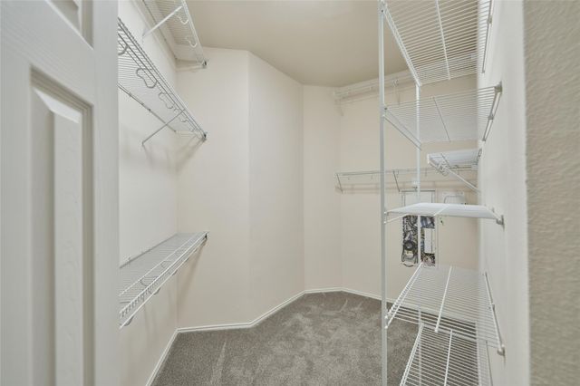 3518 Leaf Vines Drive, Spring, TX 77386