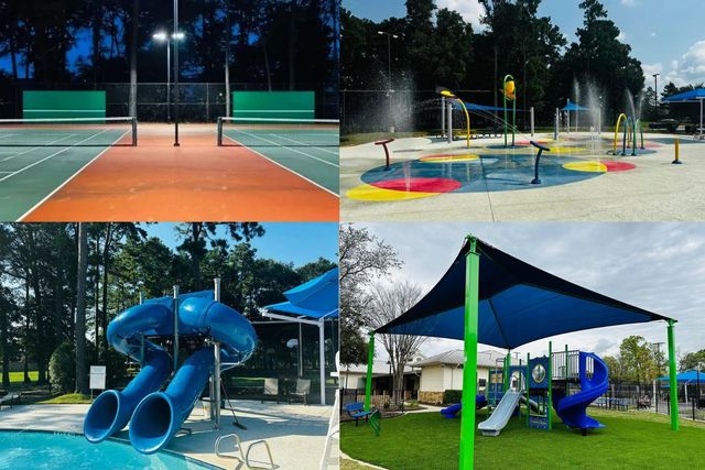 3518 Leaf Vines Drive, Spring, TX 77386