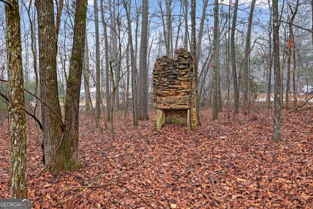 922 Linch Road, Senoia, GA 30276