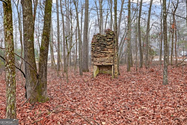 922 Linch Road, Senoia, GA 30276