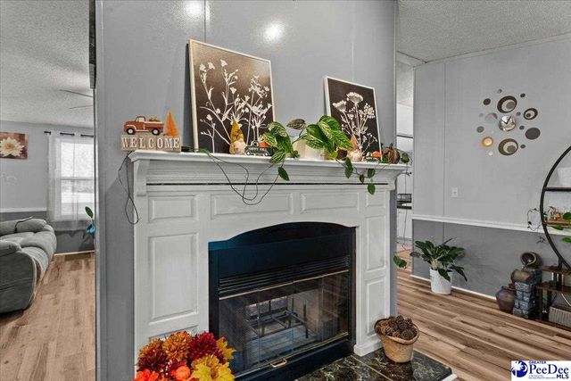 1732 S Hill Rd, Timmonsville, SC 29161