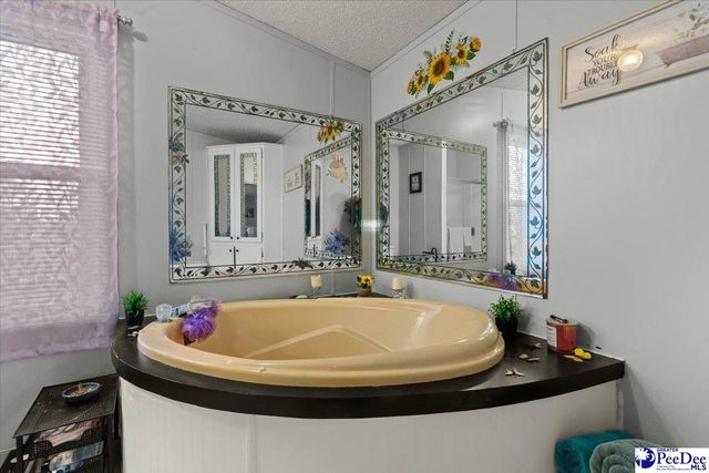 1732 S Hill Rd, Timmonsville, SC 29161