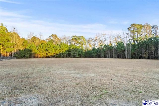 1732 S Hill Rd, Timmonsville, SC 29161