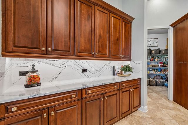 21227 SKY VISTA DRIVE, Land O Lakes, FL 34637