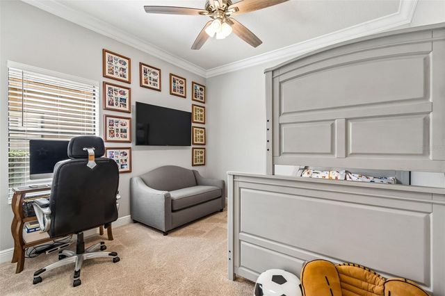 21227 SKY VISTA DRIVE, Land O Lakes, FL 34637