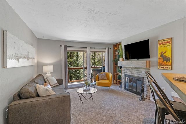 550 S French Street 112, Breckenridge, CO 80424