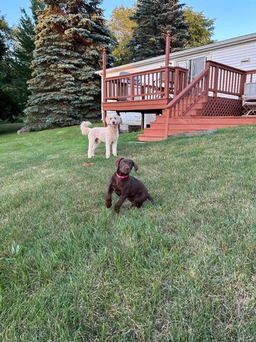 3894 Lake George Road, Dryden Twp, MI 48428