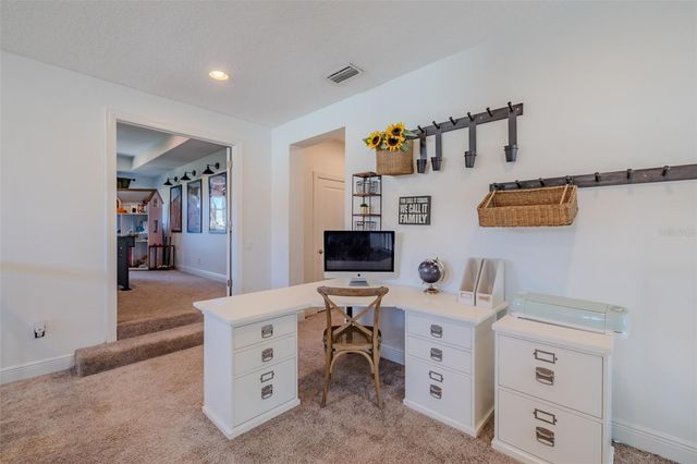 15220 FISHHAWK PRESERVE DRIVE, Lithia, FL 33547