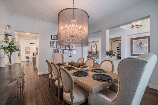 15220 FISHHAWK PRESERVE DRIVE, Lithia, FL 33547