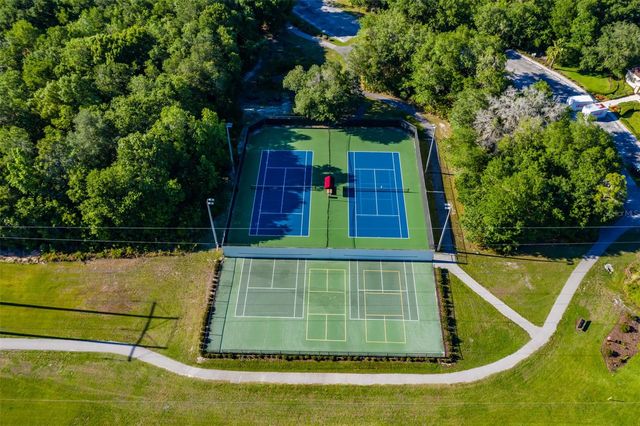 15220 FISHHAWK PRESERVE DRIVE, Lithia, FL 33547