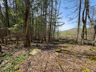 Lot 4 Oregon Road, Concord, VT 05824