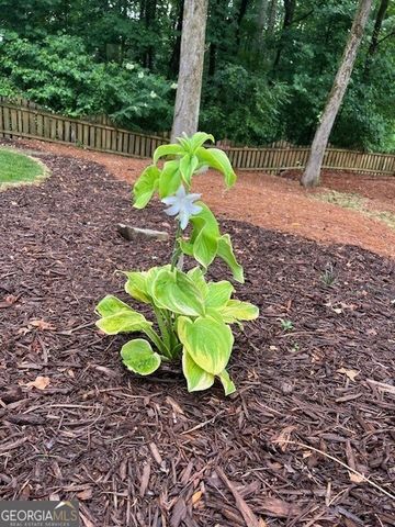 2915 Brookwater Drive, Cumming, GA 30041