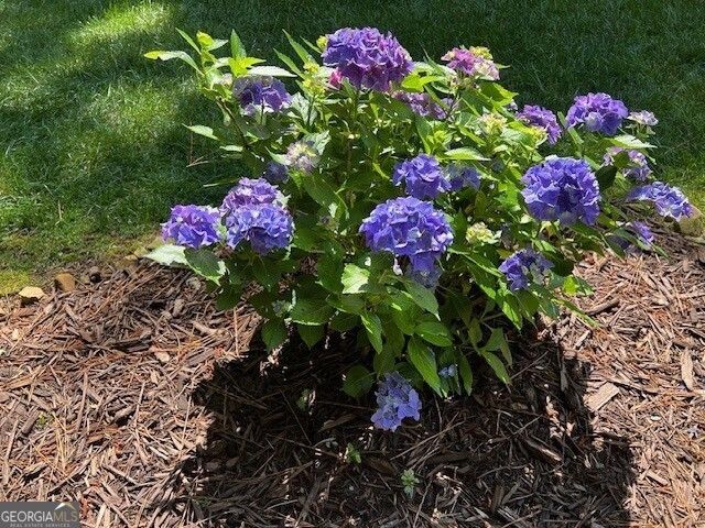 2915 Brookwater Drive, Cumming, GA 30041