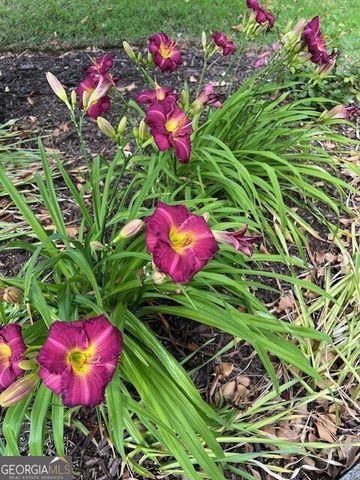 2915 Brookwater Drive, Cumming, GA 30041