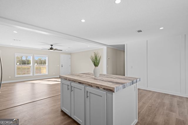 4030 Lake Mayers Road, Baxley, GA 31513