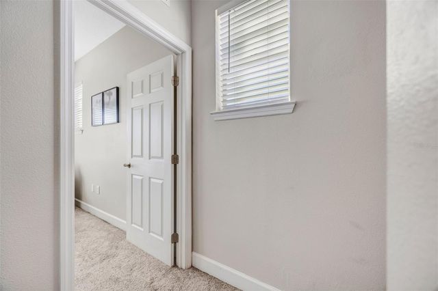 4412 ALGONKIN COURT, Tampa, FL 33611