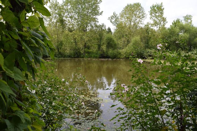 620 Brave Drive, 263, Galloway, OH 43119