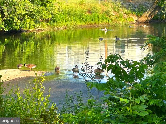 550 & 560 ROHRBAUGH LN, Moorefield, WV 26836