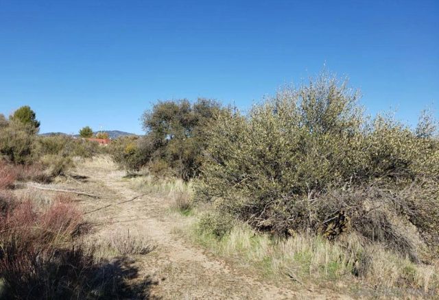 Cave Rock 0 0, Anza, CA 92539