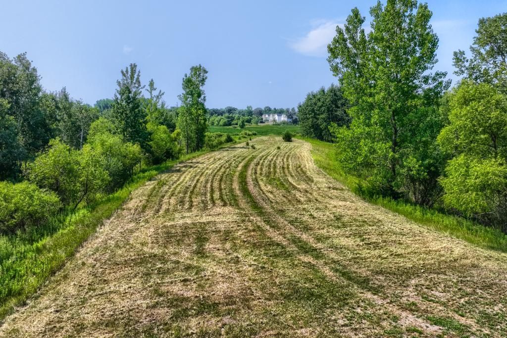 143 xxx Eldorado, Andover, MN 55304 — photo 2