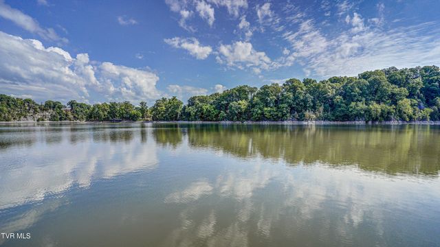 212 Lake Meadow Drive, Gray, TN 37615