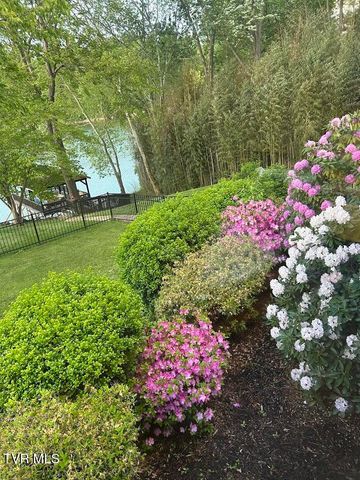 212 Lake Meadow Drive, Gray, TN 37615
