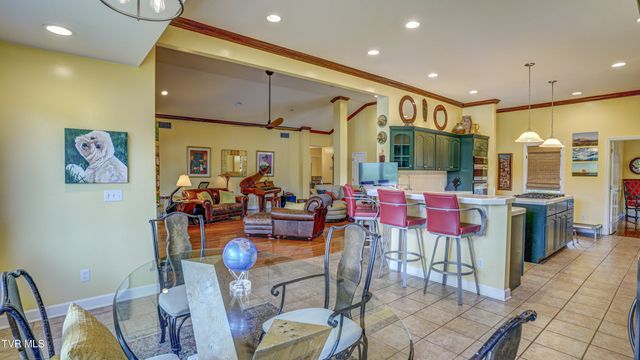 212 Lake Meadow Drive, Gray, TN 37615
