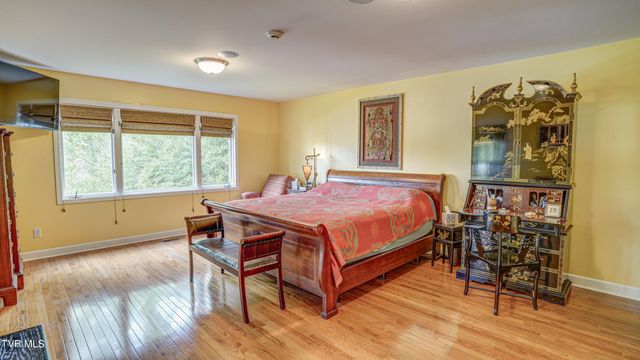 212 Lake Meadow Drive, Gray, TN 37615