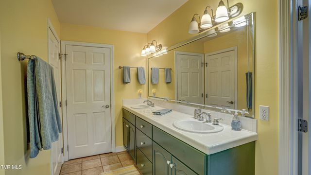 212 Lake Meadow Drive, Gray, TN 37615