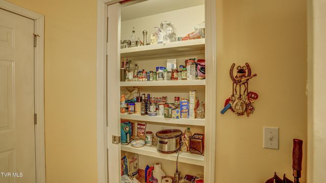 212 Lake Meadow Drive, Gray, TN 37615