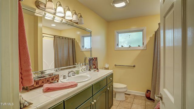 212 Lake Meadow Drive, Gray, TN 37615