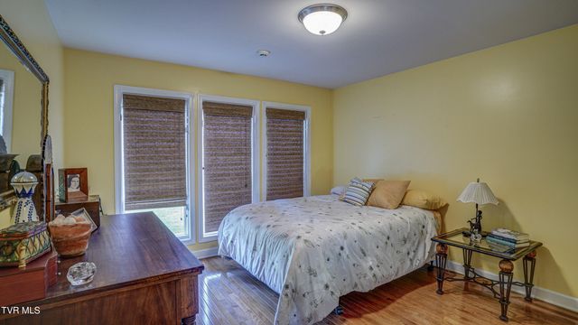 212 Lake Meadow Drive, Gray, TN 37615