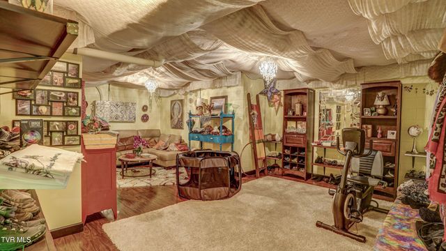 212 Lake Meadow Drive, Gray, TN 37615