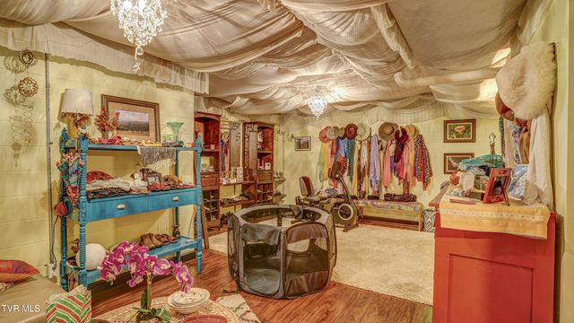 212 Lake Meadow Drive, Gray, TN 37615