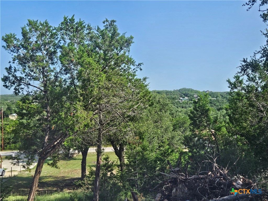 Image 14 of property listing at 1645 Pecan Circle, Canyon Lake, TX 78133