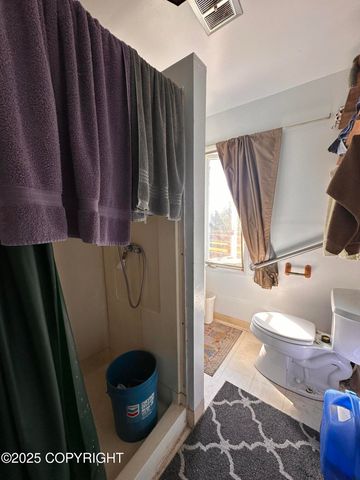 41252 Alan Drive, Homer, AK 99603