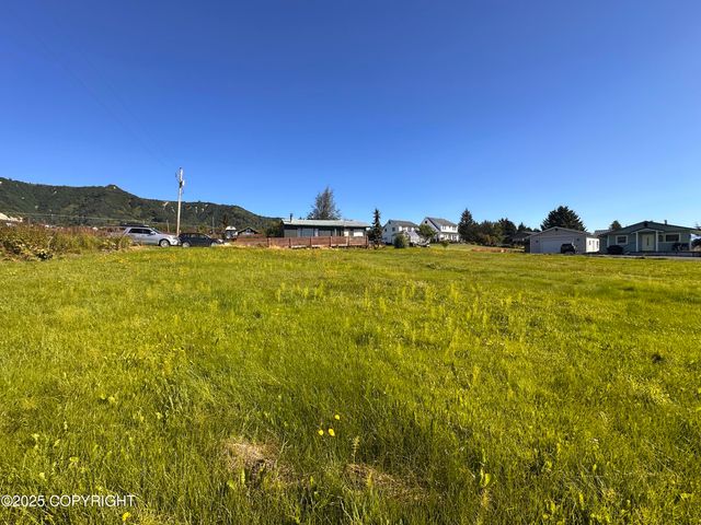 41252 Alan Drive, Homer, AK 99603