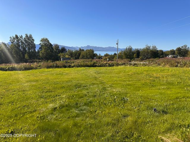 41252 Alan Drive, Homer, AK 99603