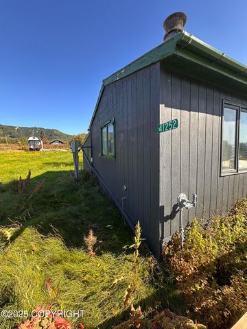 41252 Alan Drive, Homer, AK 99603