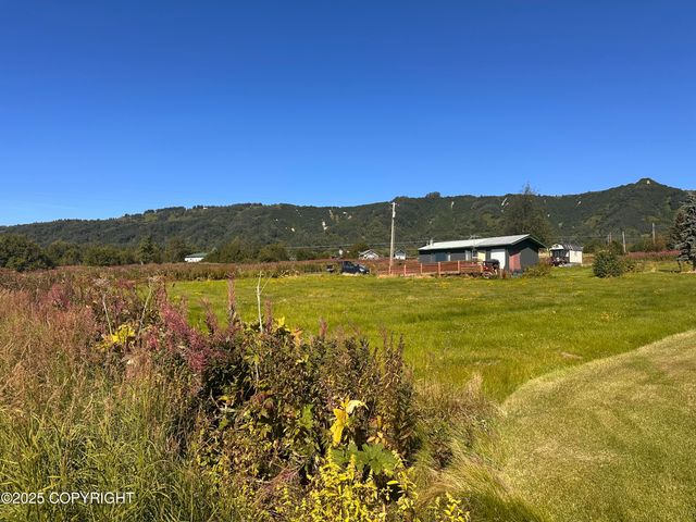 41252 Alan Drive, Homer, AK 99603